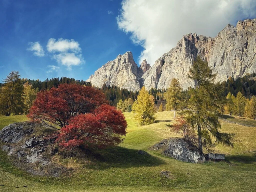 Kolfuschgerhof, Südtirol
