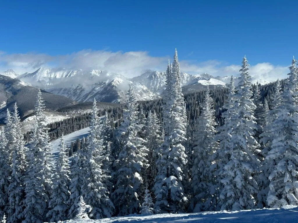Sonnenalp Hotel, Vail