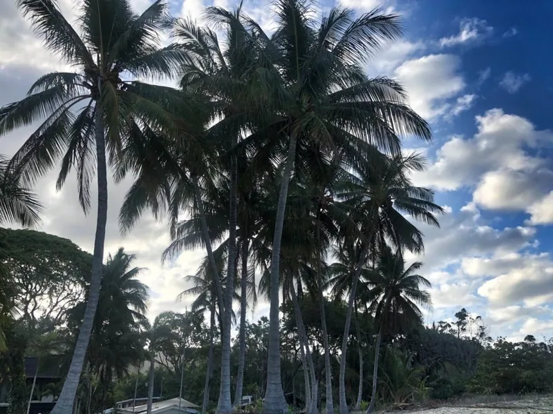 Thala Beach Nature Reserve, Port Douglas