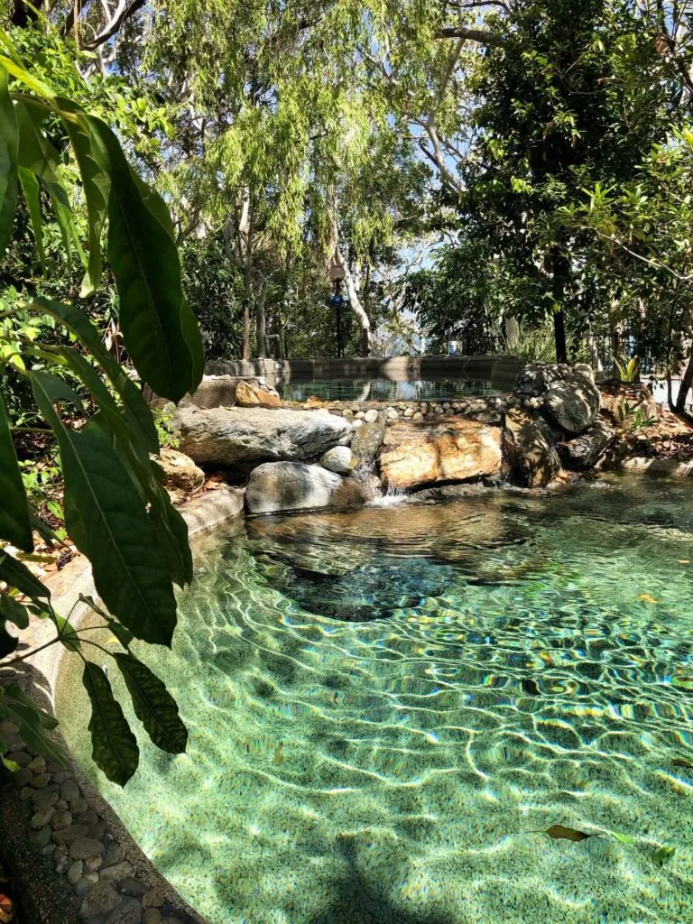 Thala Beach Nature Reserve, Port Douglas