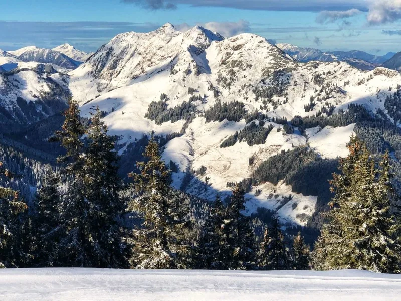 PRIESTEREGG, Leogang