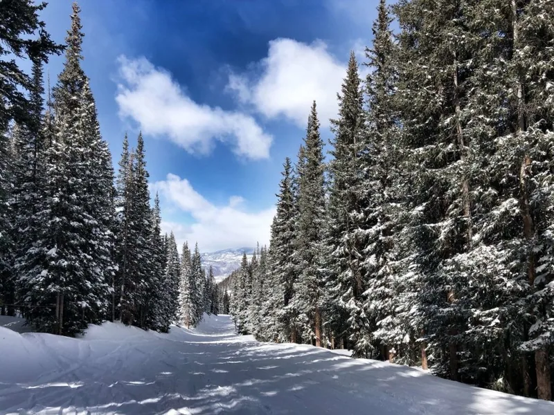 The Limelight, Aspen