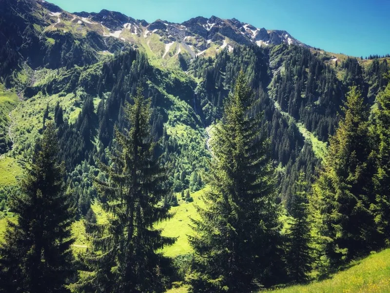 WIESERGUT, Saalbach-Hinterglemm