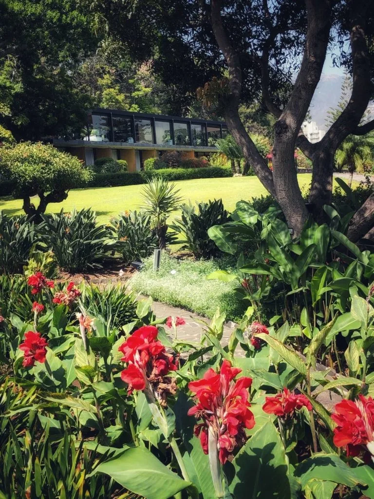 Quinta da Casa Branca, Funchal