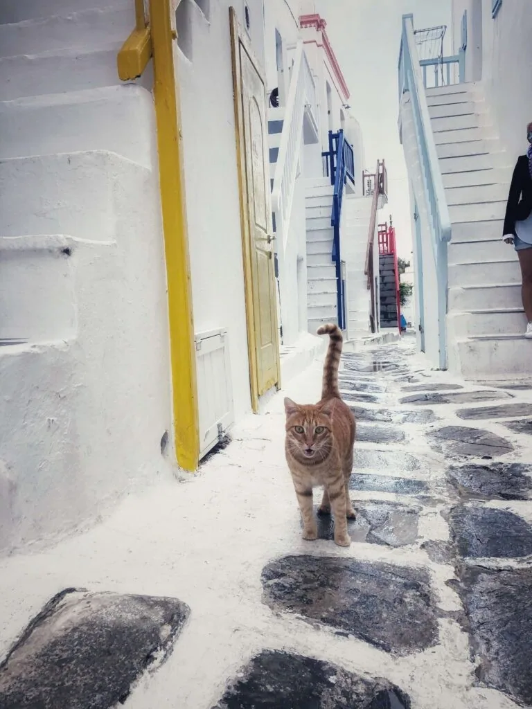 Semeli Hotel, Mykonos