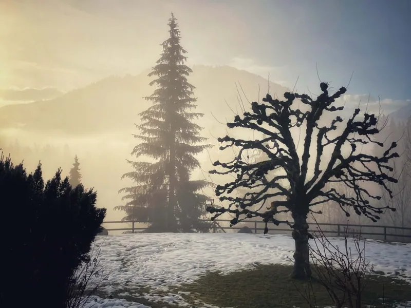 Gstaad Palace im Winter
