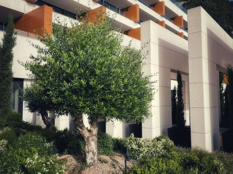 Angsana Corfu Resort