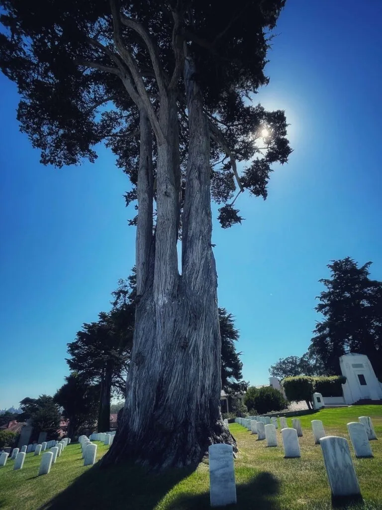 Inn & Lodge at the Presidio, San Francisco