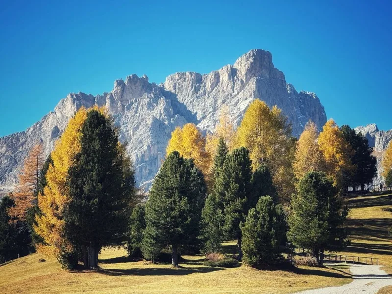 Kolfuschgerhof, Südtirol