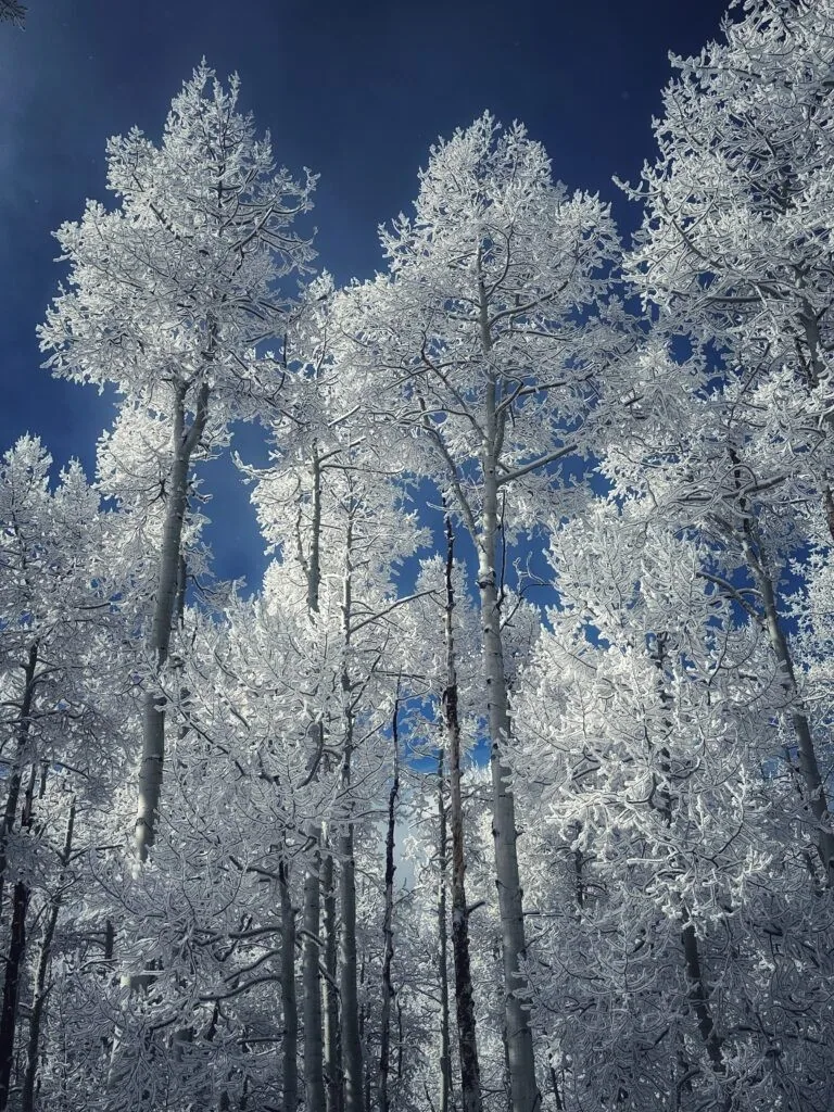 The Little Nell, Aspen