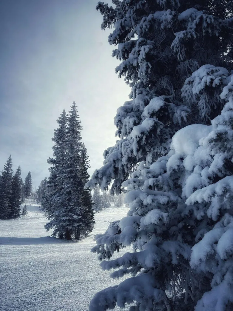 The Little Nell, Aspen