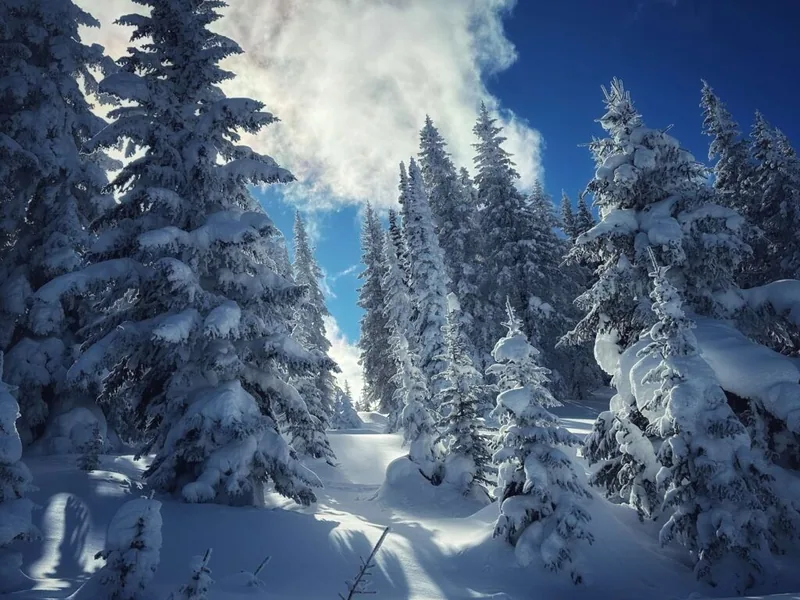 Sonnenalp Hotel, Vail