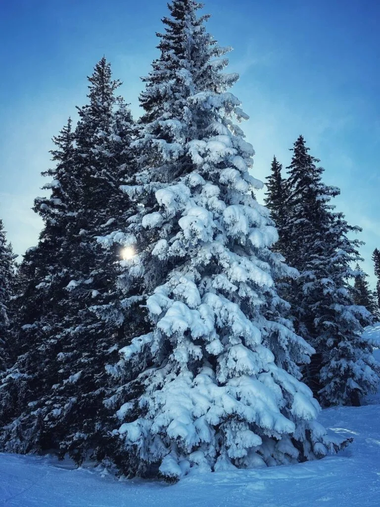 The Little Nell, Aspen