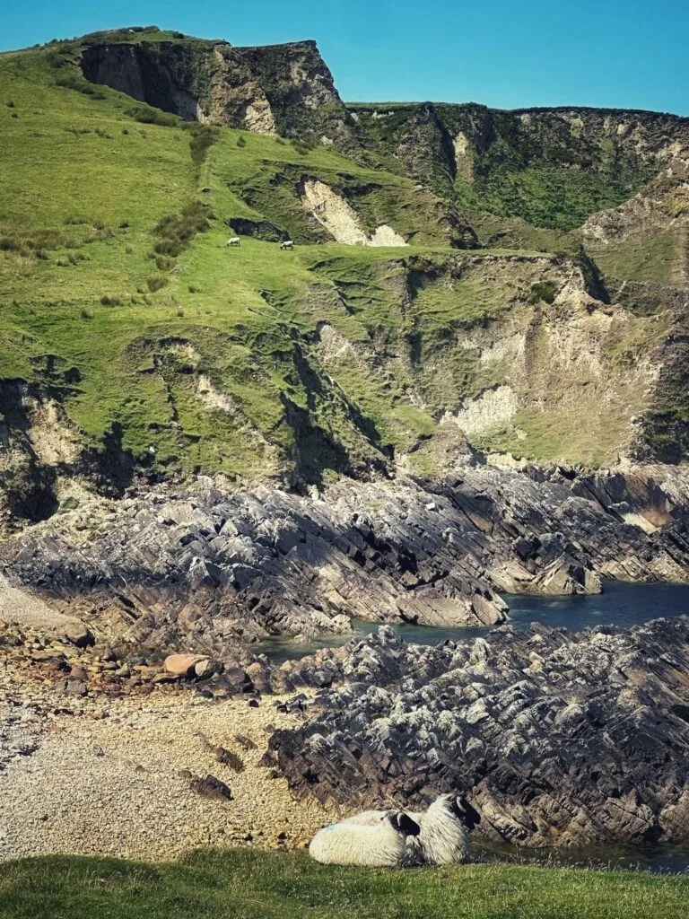 Fernwood Farm, Clifden