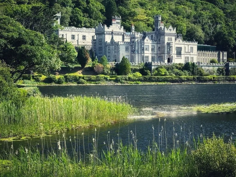 Fernwood Farm, Clifden