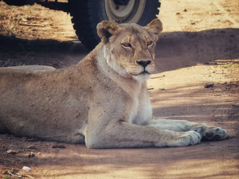 Kapama Karula, South Africa