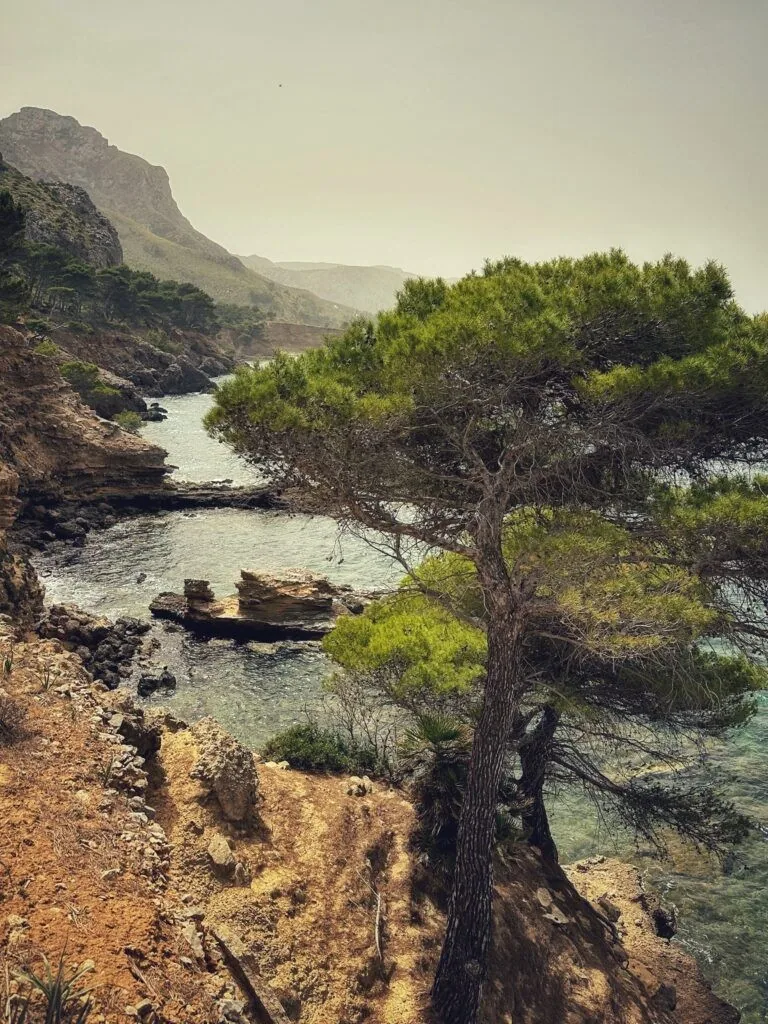 Cases de Son Barbassa, Mallorca
