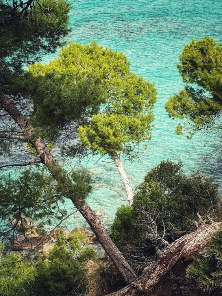 Cases de Son Barbassa, Mallorca