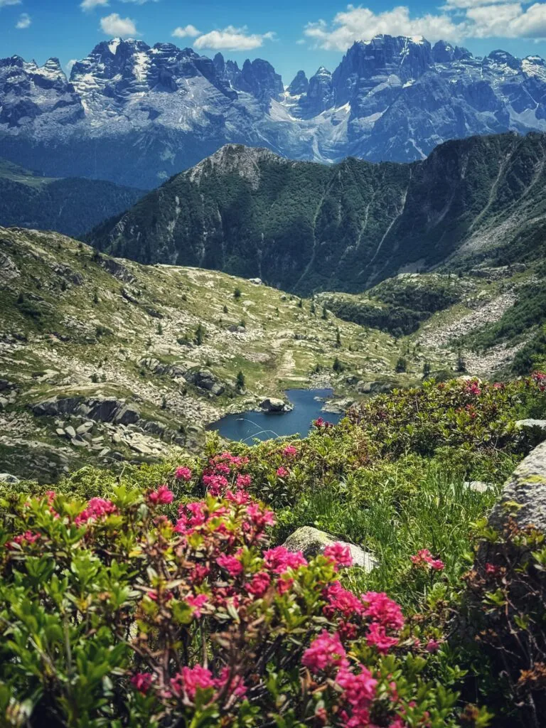 Hotel Spinale, Madonna di Campiglio