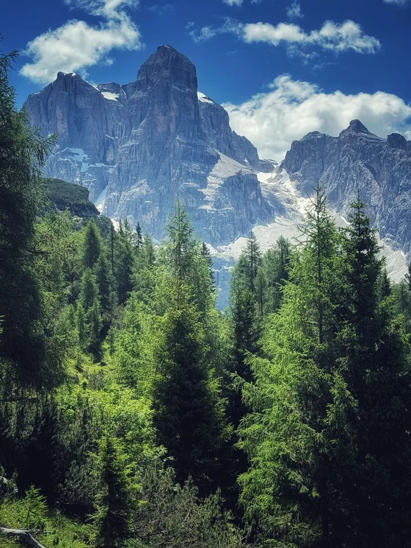 Hotel Spinale, Madonna di Campiglio
