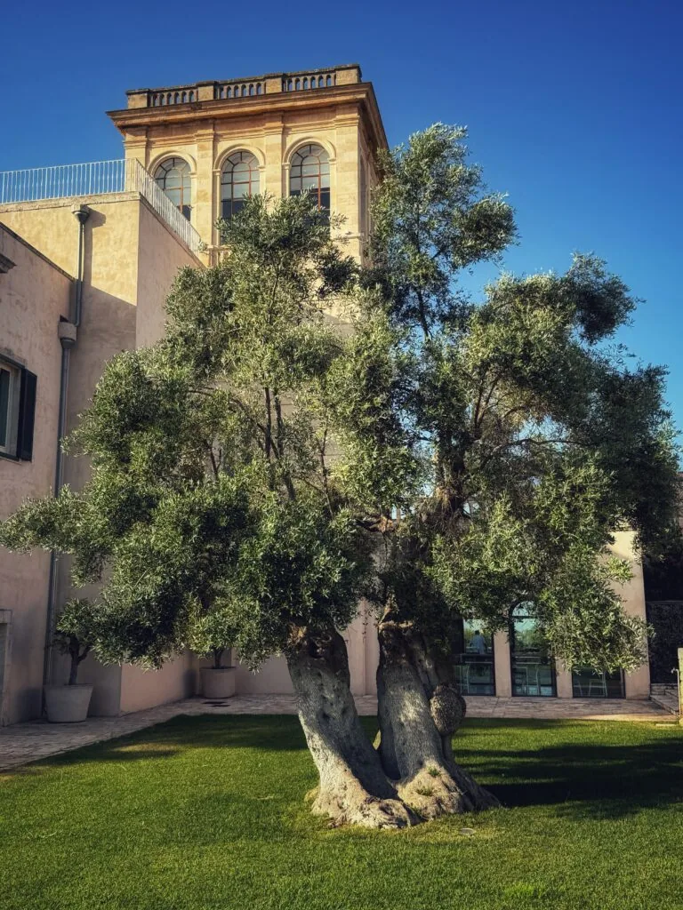 Villa Torre Bianca, Apulien