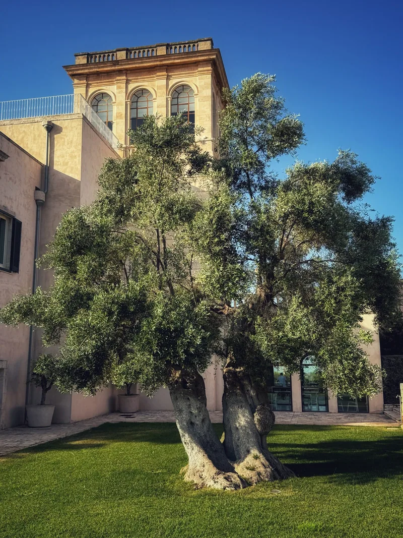 Villa Torre Bianca, Apulien
