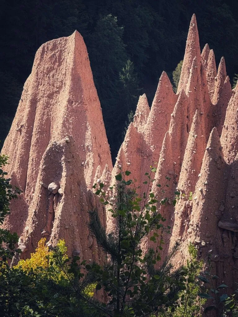 Spornberg Mountain Living