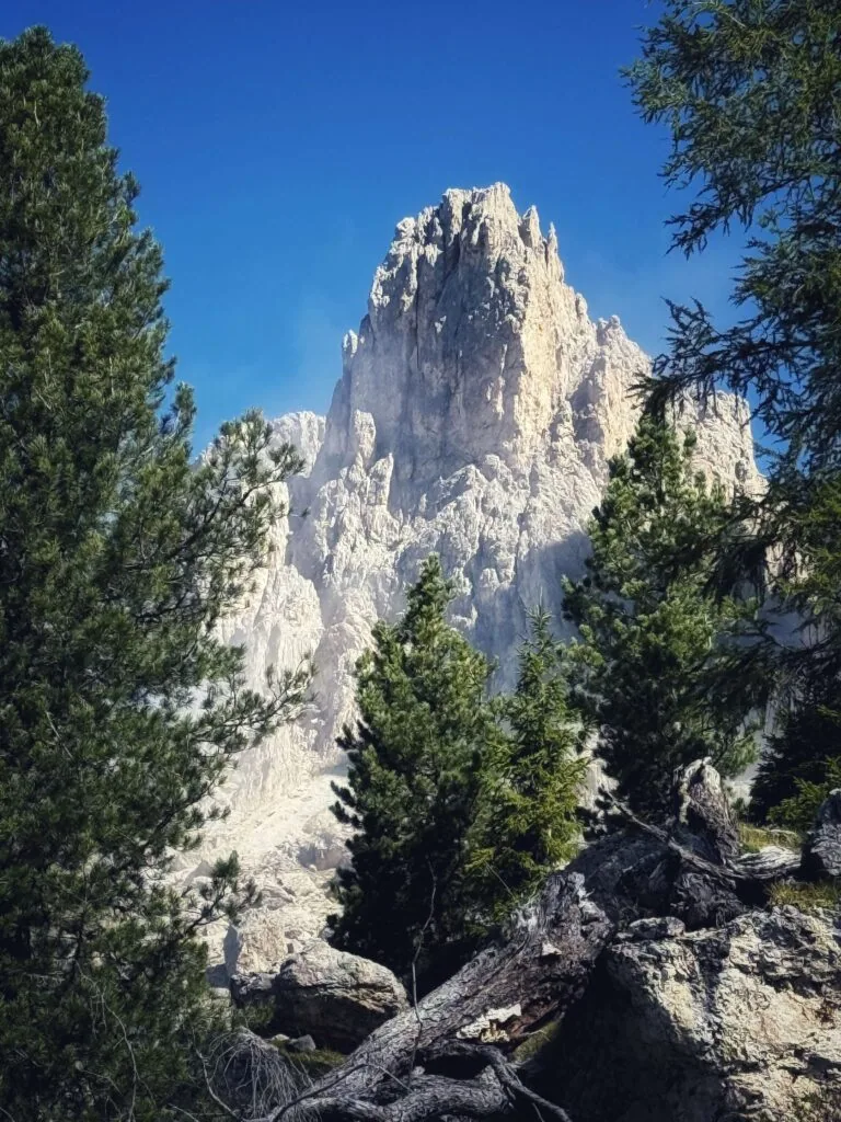 Spornberg Mountain Living