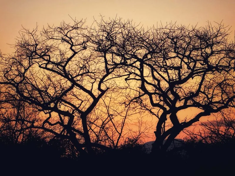 Kapama Karula, Südafrika