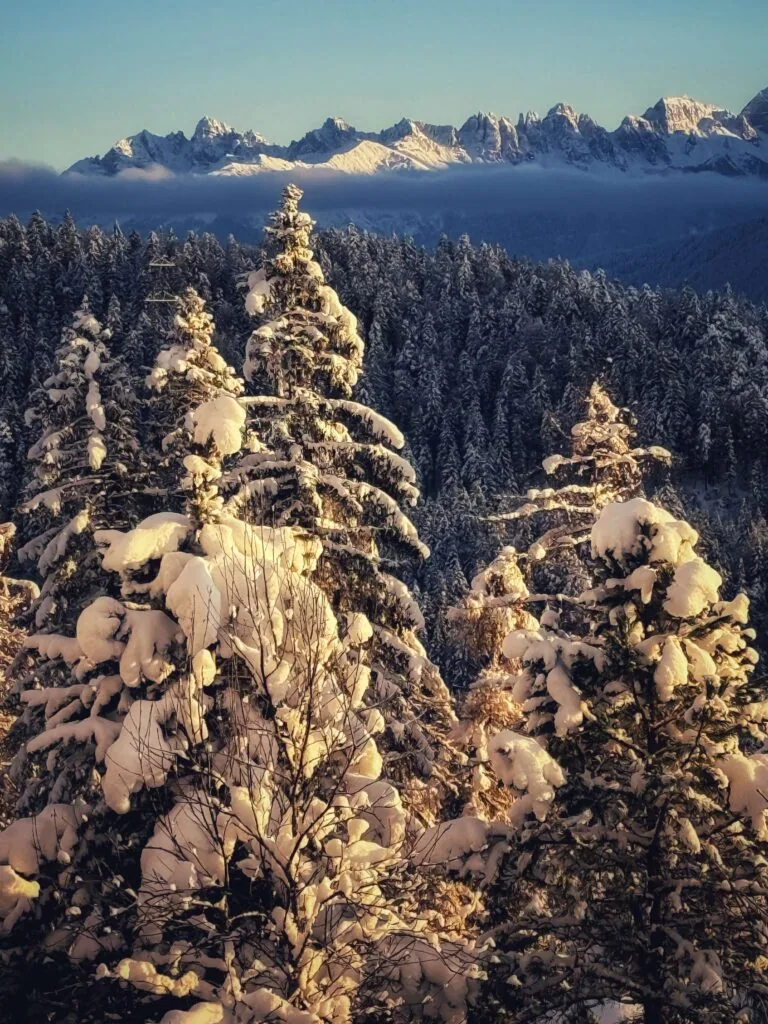 Interalpen-Hotel Tyrol, Seefeld