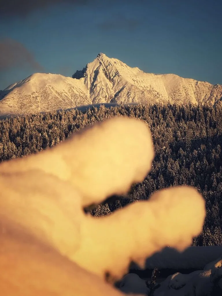 Interalpen-Hotel Tyrol, Seefeld
