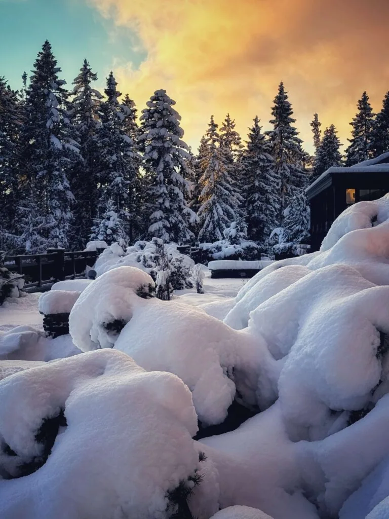 Interalpen-Hotel Tyrol, Seefeld