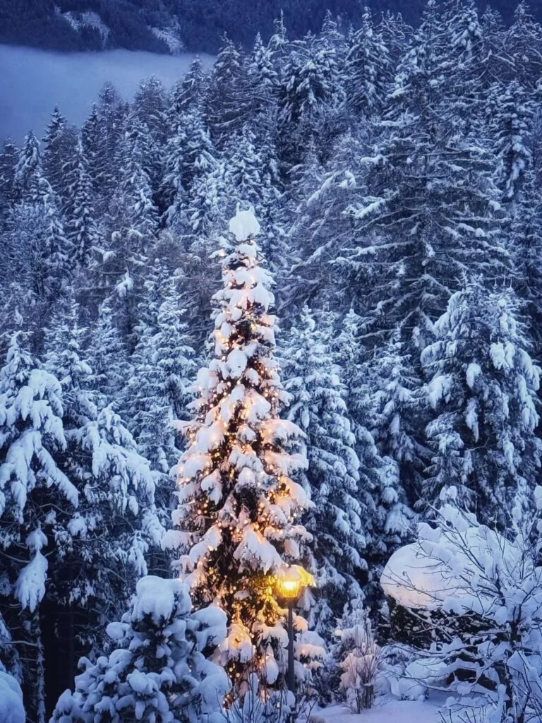 Interalpen-Hotel Tyrol, Seefeld