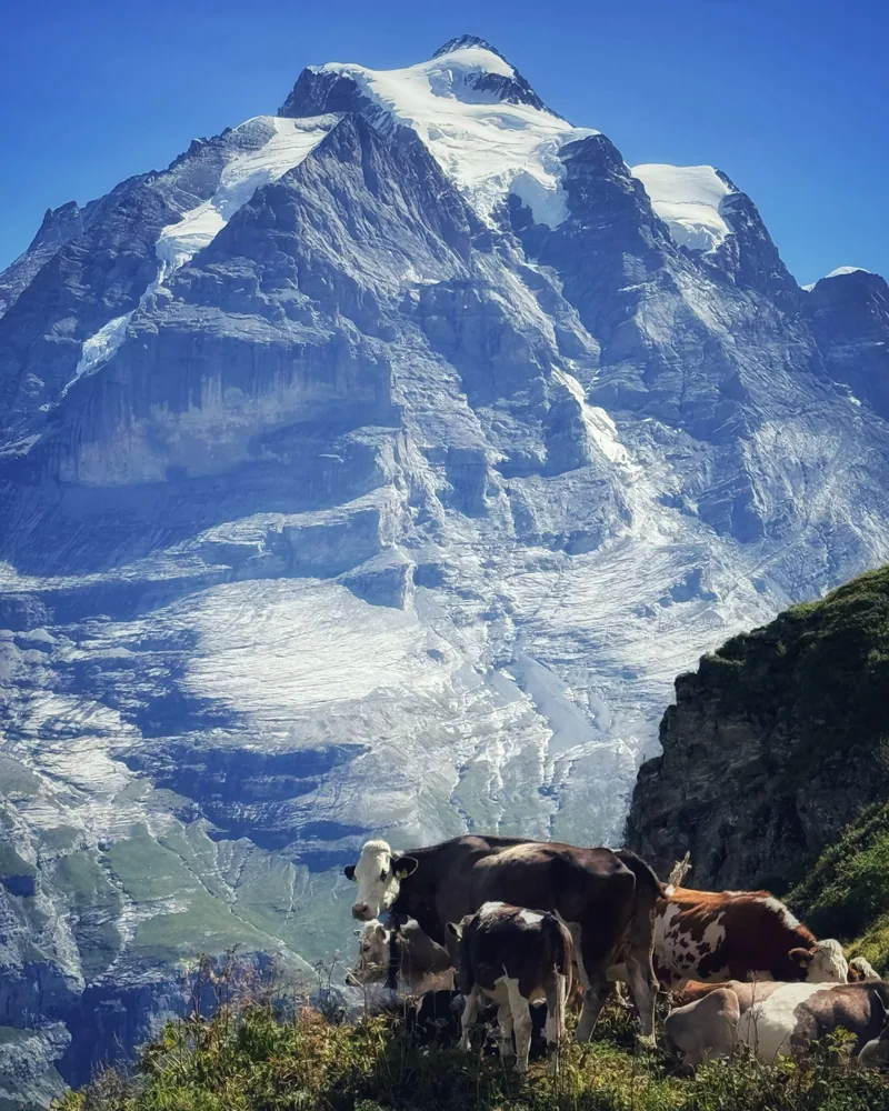 Mürren Palace, Schweiz